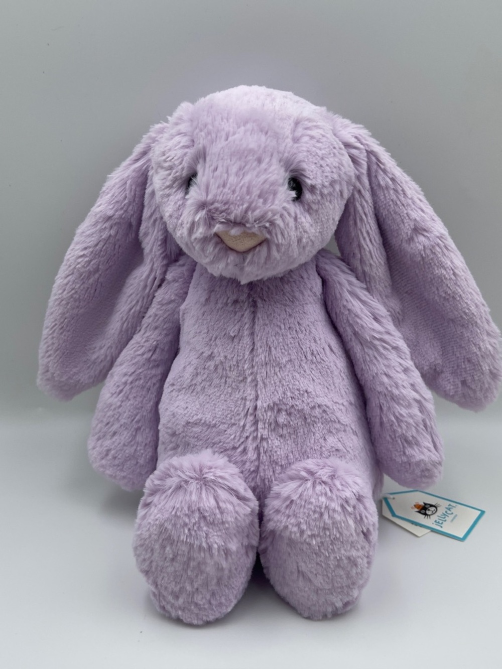 BNWT RARE Jellycat BASHFUL VIOLA BUNNY Medium Rabbit Plush Purple Soft Toy HTF